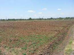 Agricultural Land 300 Acre for Sale in