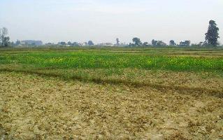  Agricultural Land for Sale in Bithoor, Kanpur