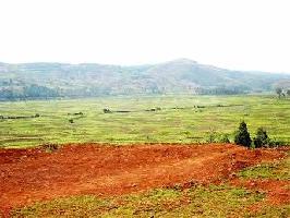  Agricultural Land for Sale in Barshi, Solapur