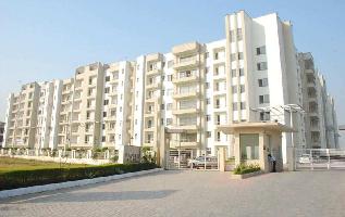 1 BHK Flat for Sale in Sector 115 Mohali