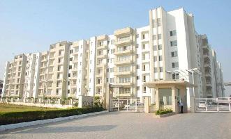 1 BHK Flat for Sale in Sector 115 Mohali