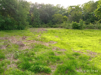  Residential Plot for Sale in Revora, Goa