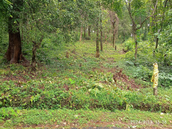  Residential Plot for Sale in Pomburpa, Goa