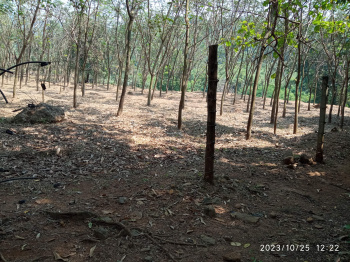  Residential Plot for Sale in Tivim, North Goa, 
