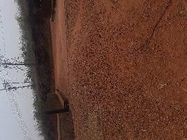  Agricultural Land for Sale in Tivim, North Goa, 