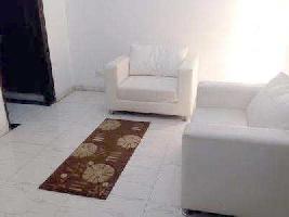 1 BHK Flat for Rent in Kalkaji, Delhi