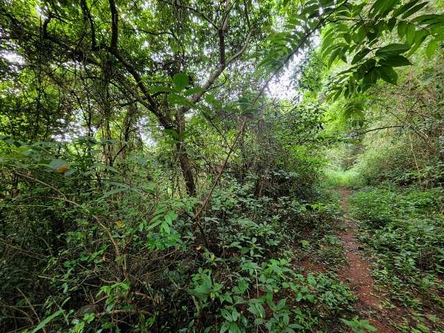 Residential Plot 30000 Sq. Meter for Sale in Chorao, Goa