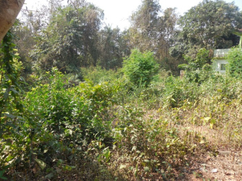  Residential Plot for Sale in Corlim, Old Goa