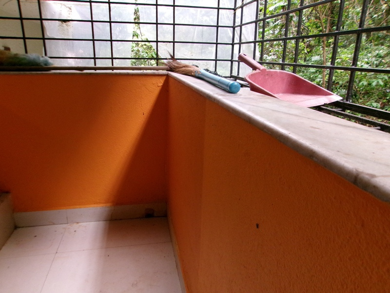 Other Image