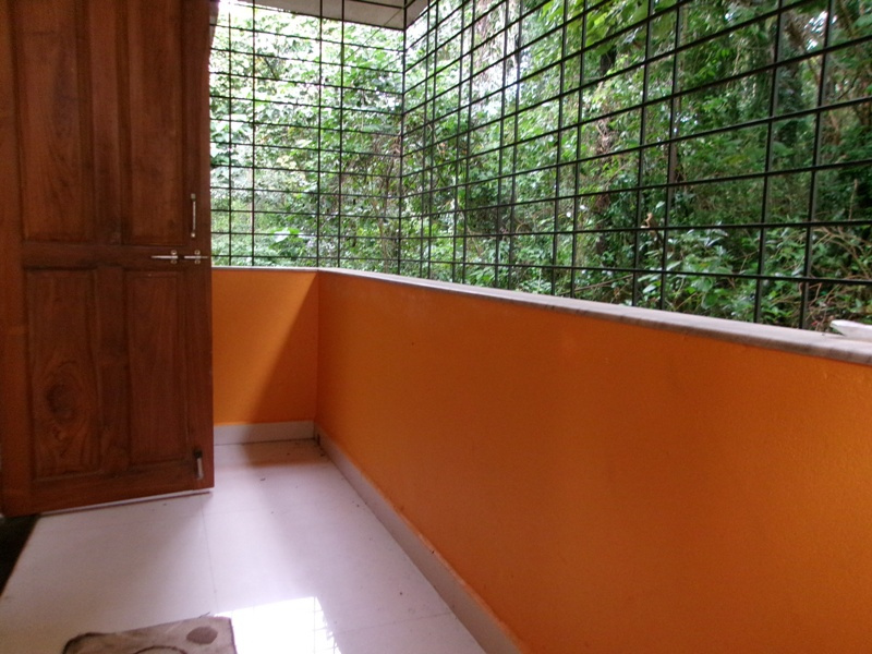 Other Image