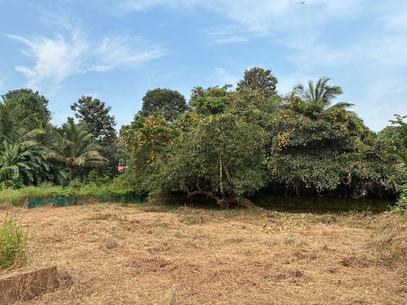  615 Sq. Meter Residential Plot for Sale in Salvador Do Mundo, Bardez, Goa