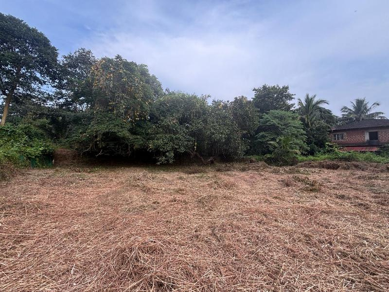 615 Sq. Meter Residential Plot for Sale in Salvador Do Mundo, Bardez, Goa