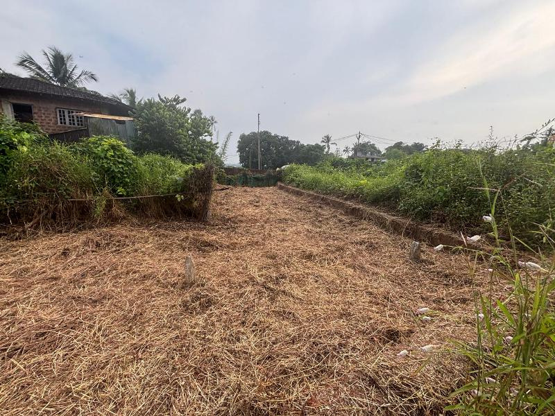  615 Sq. Meter Residential Plot for Sale in Salvador Do Mundo, Bardez, Goa