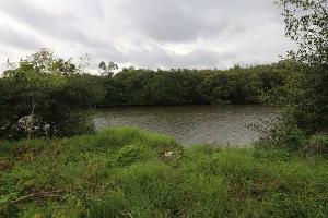  Residential Plot for Sale in Bambolim Complex, Goa