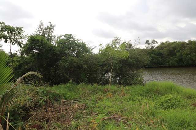  Residential Plot 1080 Sq. Meter for Sale in Bambolim Complex, Goa