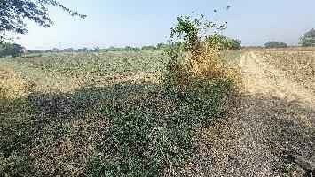  Agricultural Land for Sale in Kanadia Road, Indore