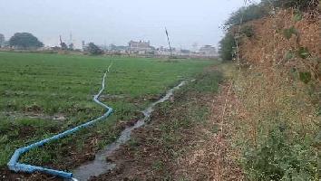  Agricultural Land for Sale in Manglia, Indore