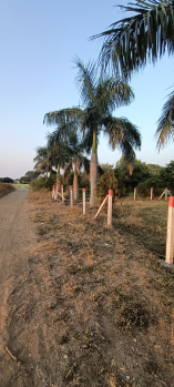  Agricultural Land for Sale in Nainod, Indore
