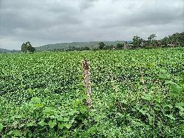  Agricultural Land for Sale in Nemawar Road, Indore