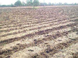  Agricultural Land for Sale in Bithoor, Kanpur