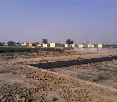  Residential Plot for Sale in Sector 162 Noida