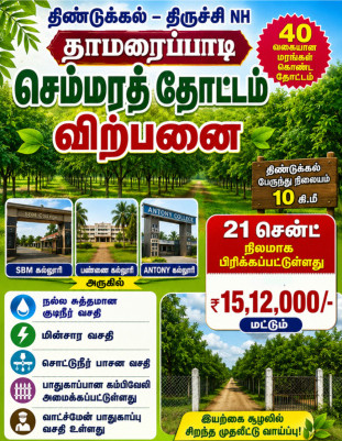Thamaraipadi, Dindigul photo 4