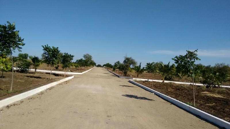  Residential Plot 600 Sq. Yards for Sale in Adikmet, Hyderabad