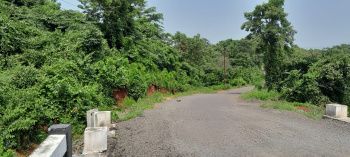  Agricultural Land for Sale in Mangaon, Raigad