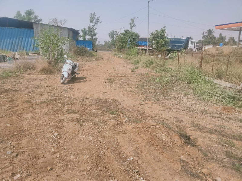  Residential Plot 171 Ares for Sale in Mangaon, Raigad