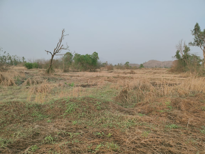  Residential Plot 171 Ares for Sale in Mangaon, Raigad