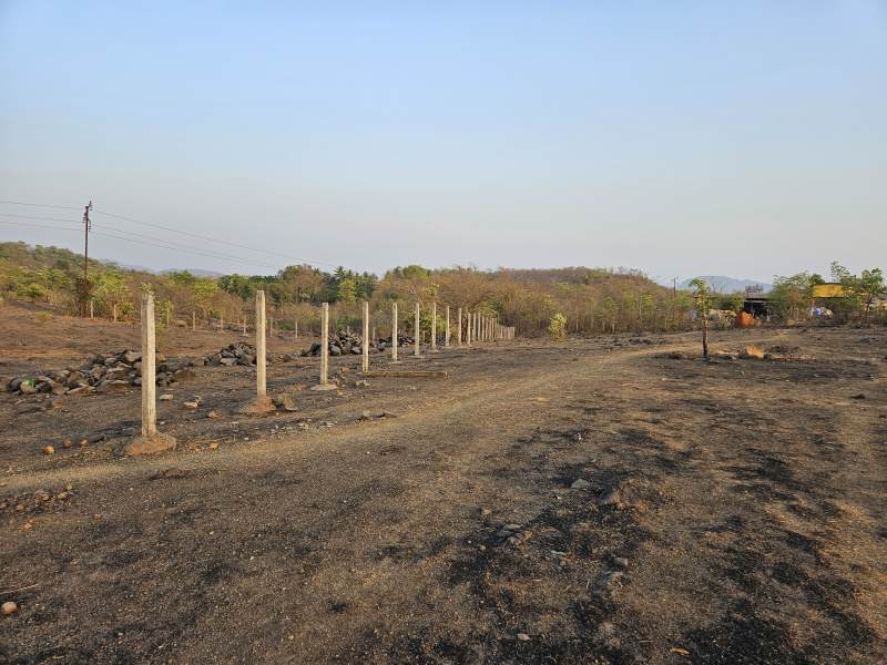  Commercial Land 12000 Sq. Meter for Sale in Mangaon, Raigad