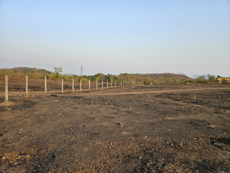  Commercial Land 12000 Sq. Meter for Sale in Mangaon, Raigad