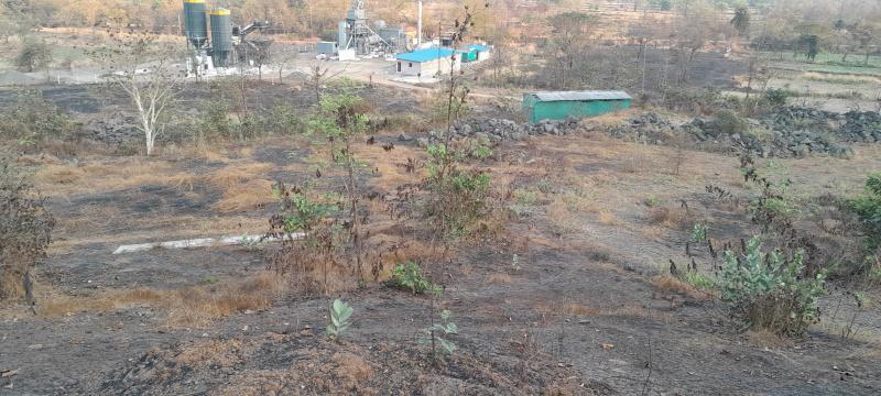  Commercial Land 222 Guntha for Sale in Mangaon, Raigad