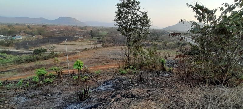  Commercial Land 222 Guntha for Sale in Mangaon, Raigad