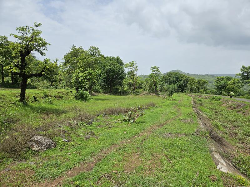  Agricultural Land 30 Acre for Sale in Mangaon, Raigad