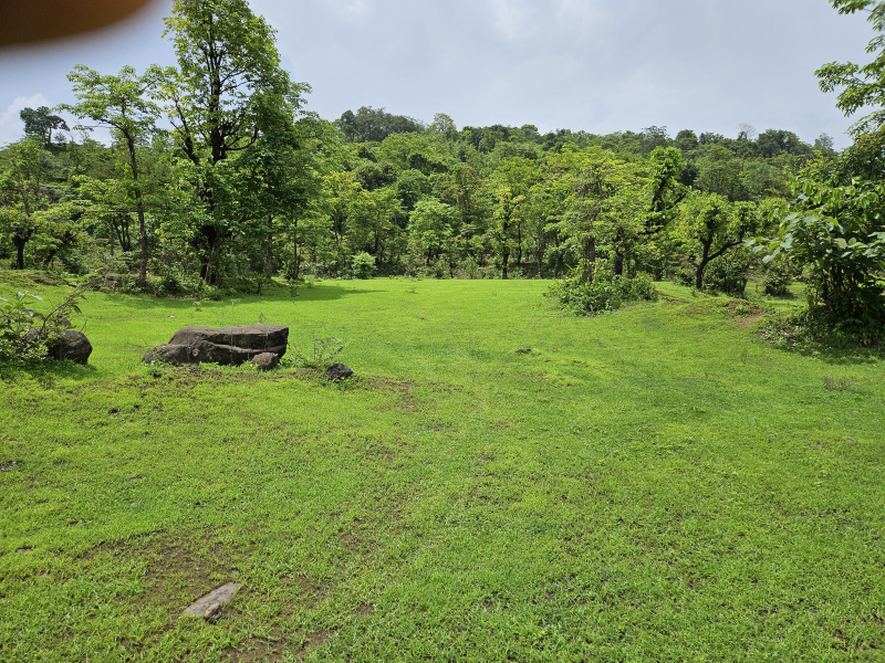  Agricultural Land 30 Acre for Sale in Mangaon, Raigad