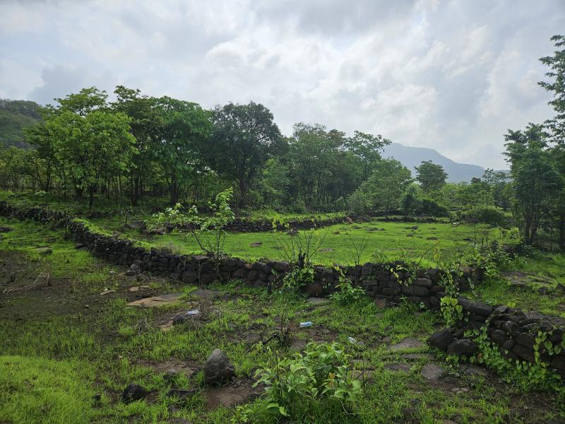  Agricultural Land 50 Acre for Sale in Mangaon, Raigad