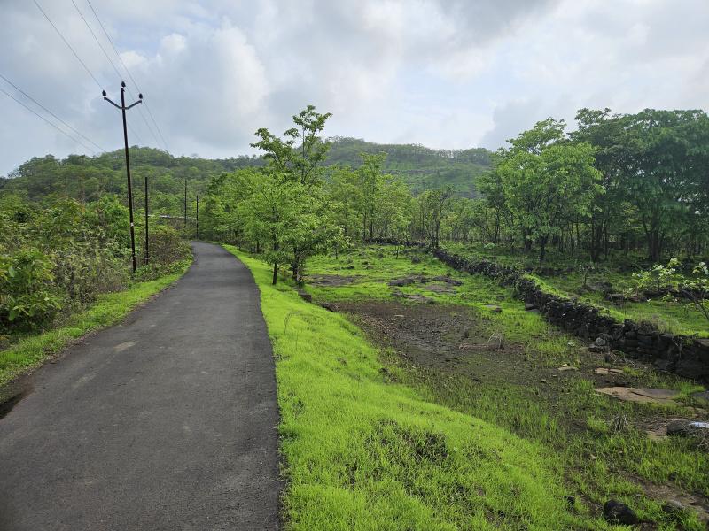  Agricultural Land 50 Acre for Sale in Mangaon, Raigad