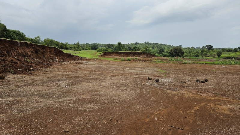  Agricultural Land 8 Acre for Sale in Tala, Raigad