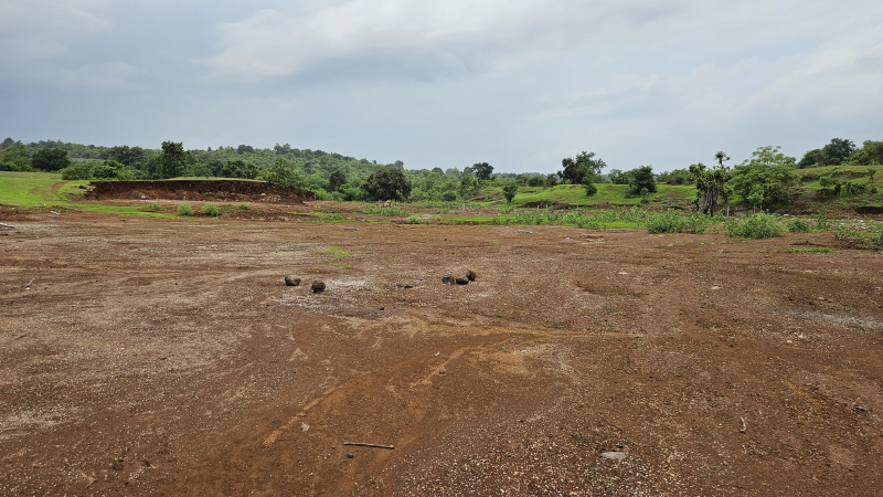  Agricultural Land 8 Acre for Sale in Tala, Raigad