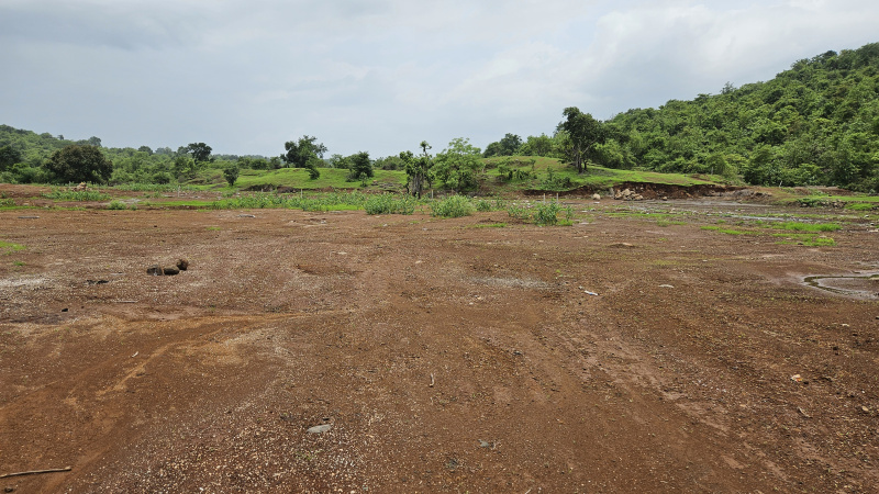  Agricultural Land 8 Acre for Sale in Tala, Raigad