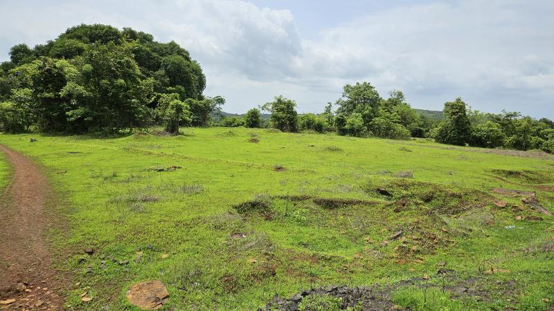  Agricultural Land 25 Acre for Sale in Mangaon, Raigad