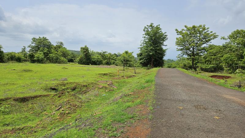  Agricultural Land 25 Acre for Sale in Mangaon, Raigad