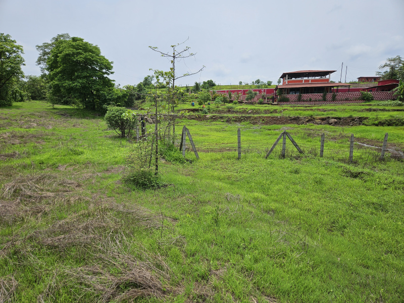  Agricultural Land 5000 Sq. Meter for Sale in Mangaon, Raigad