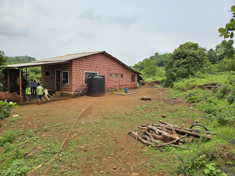 2 BHK Farm House 6 Acre for Sale in Mangaon, Raigad