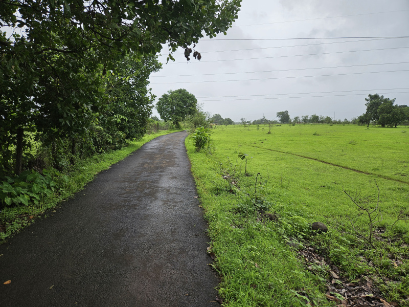  Agricultural Land 5 Acre for Sale in Roha, Raigad