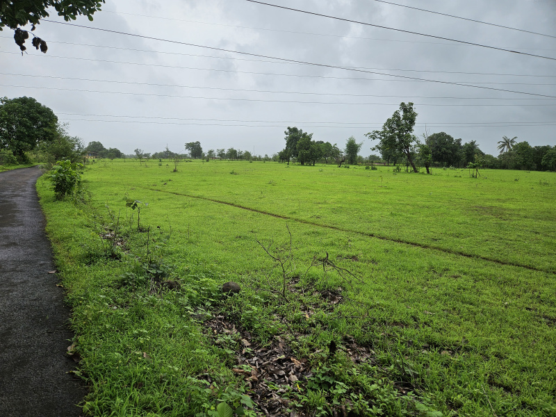  Agricultural Land 5 Acre for Sale in Roha, Raigad