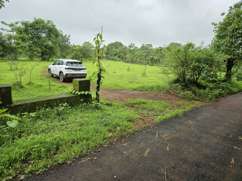  Agricultural Land 5 Acre for Sale in Roha, Raigad