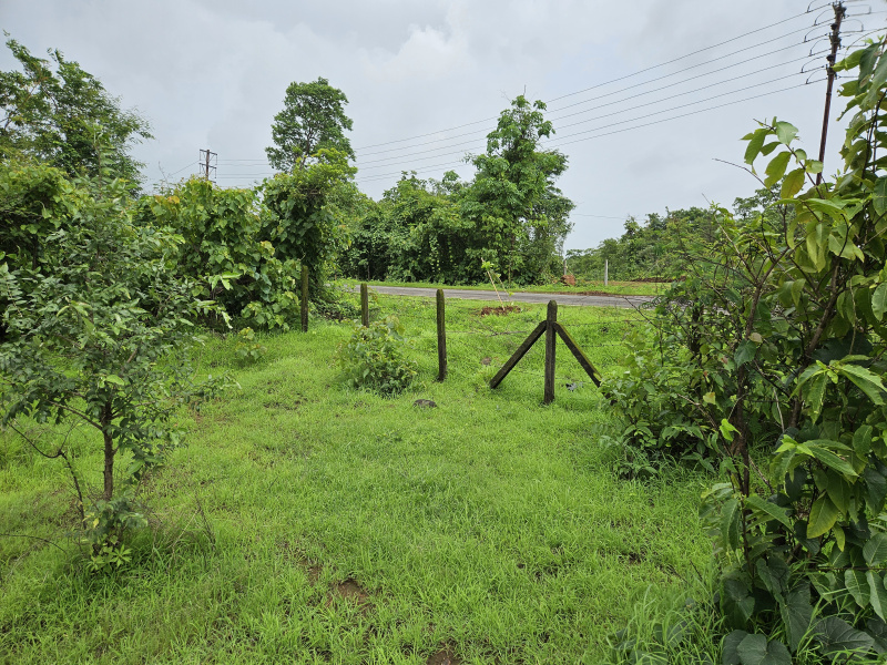  Industrial Land 40 Acre for Sale in Vile Bhagad MIDC, Raigad