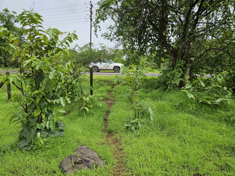  Industrial Land 40 Acre for Sale in Vile Bhagad MIDC, Raigad